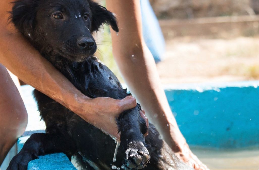 Golpe de calor: cómo evitarlo