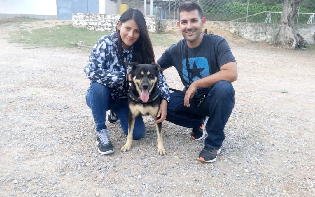 Rocky vuelve a tener un hogar