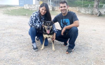 Rocky vuelve a tener un hogar