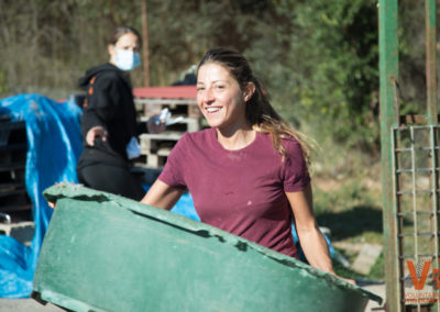 Voluntarios Itinerantes Animals Sense Sostre Refugio