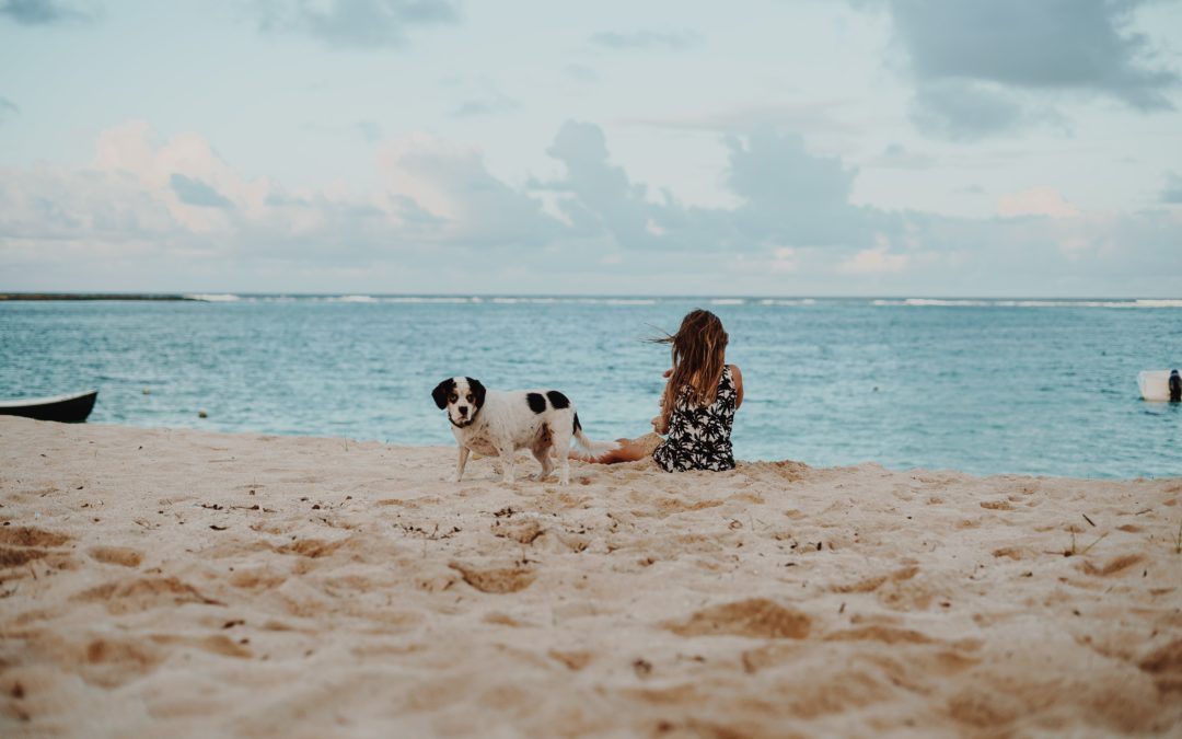 Playas sin perros, pero con bandera azul