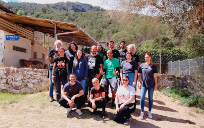 Empresas solidarias se unen a un día de voluntariado