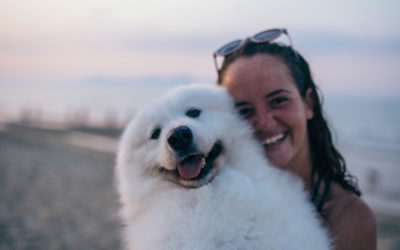 Vacaciones seguras con tu peludo: ¡explorando opciones para viajar juntos!