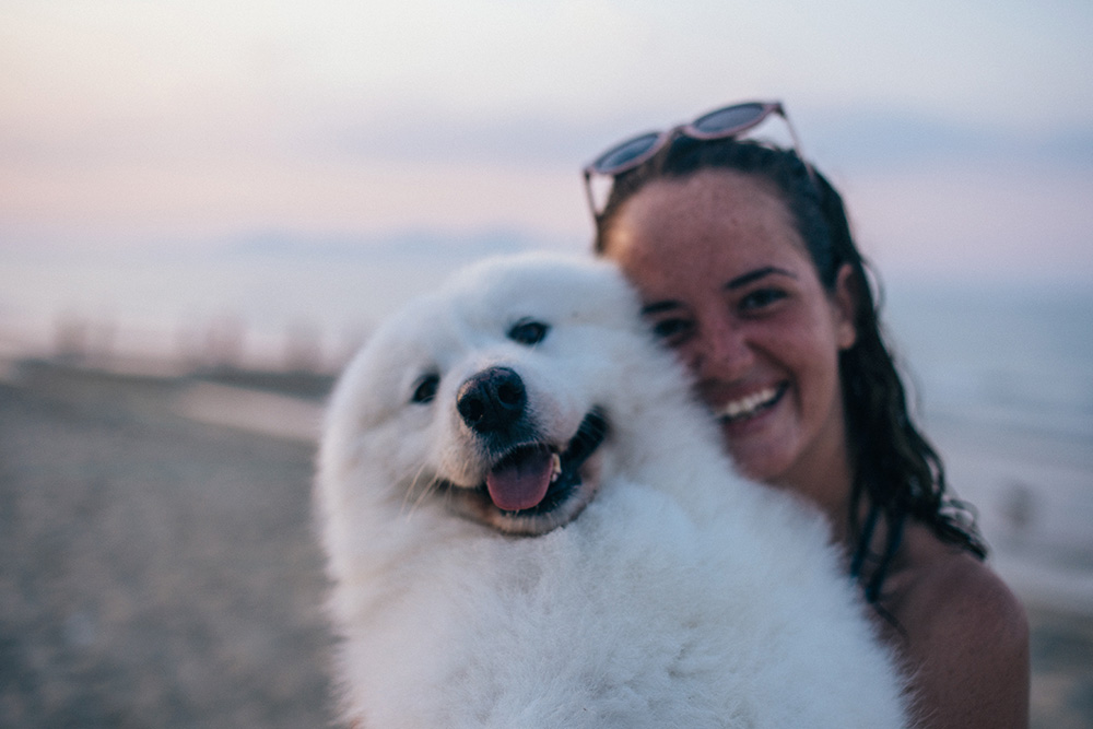 Vacaciones seguras con tu peludo: ¡explorando opciones para viajar juntos!